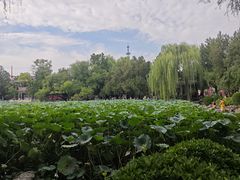 -莲池书院博物馆