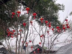 -耕渔小院·湖南鱼鲜(望城店)