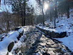 -阳台山自然风景区