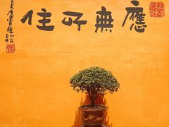 -五台山风景区