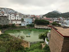 -枸杞岛