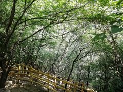 -十渡东湖港风景区