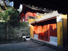 -普陀山风景名胜区-法雨禅寺