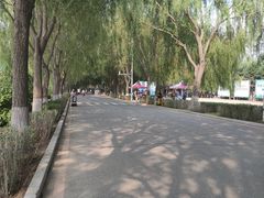 -丁香湖公园