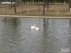 -同济大学(嘉定校区)