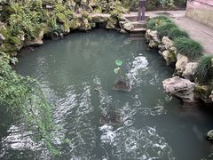 -天一阁博物院