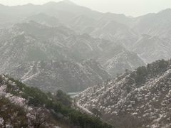 -天源渔港农庄
