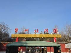-曹州牡丹园