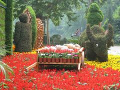 android_upload_pic-解放公园
