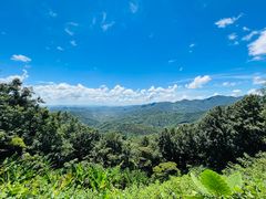 -广州市石门国家森林公园