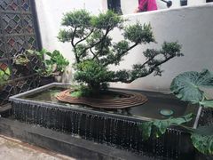 -怡得观滇餐厅·地道昆明菜·1996(海埂大坝店)
