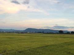 -喜林苑·稻田餐厅(品相府店)