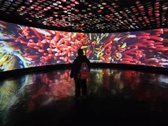 -同济大学四平路校区深海探索馆