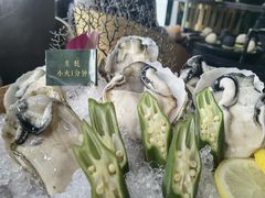 生蚝-凤园椰珍·臻品椰子鸡(保利时光里店)