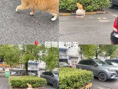 -上海大学(嘉定校区)