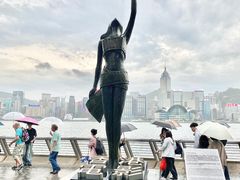-星光大道