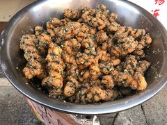 蒜蓉枝-海丝金凤(金鱼店)