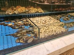 -冀粤香海鲜自助餐厅(西美五洲店)