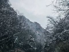 -陕西省红河谷森林公园
