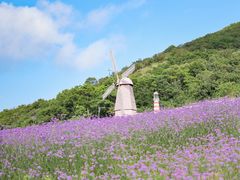 -东海半边山旅游度假区