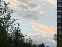 -农家乐大锅台铁锅炖(四流中路店)