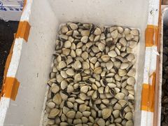 -马王堆海鲜水产市场
