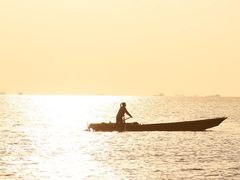 -宝安西湾红树林湿地公园