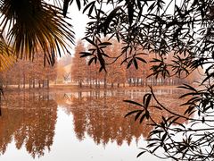 -尚湖风景区
