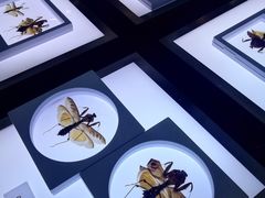 -上海昆虫博物馆