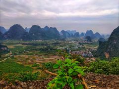 -会仙湿地