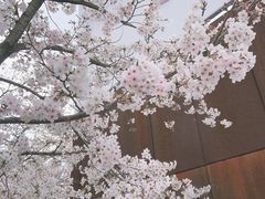 -龙美术馆(西岸馆)