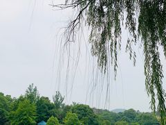 -白马涧龙池景区