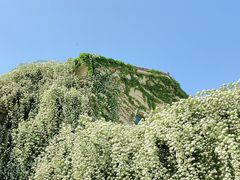 -府河摄影公园