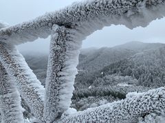 -武陵山森林公园