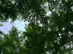 -秦岭终南山世界地质公园翠华山景区