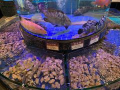-金悦轩海鲜城(渔人码头店)