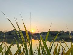 -福田红树林生态公园