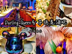 -Darling Queen·Mini·Live·House