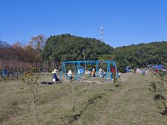-嘉北郊野公园