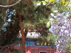 -大钟寺古钟博物馆