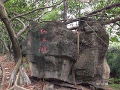-大雁山风景区