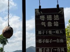 -呀诺达热带雨林