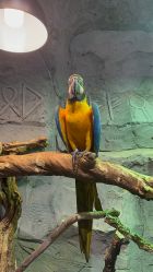 -Zoolung Zoolung动物主题公园(海信广场店)