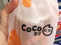 -CoCo都可(吾悦店)