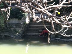 -小洲村