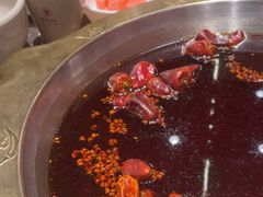-堂客老火锅(欣阳广场总店)