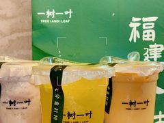 -一树一叶·福建茶档(石鼓路店)