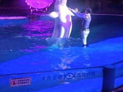 -大连圣亚海洋世界