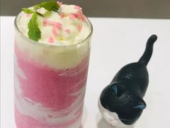 -飞行喵MR PILOT|猫舍·猫咖(静安大融城店)