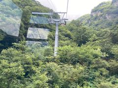 -牛背梁国家森林公园